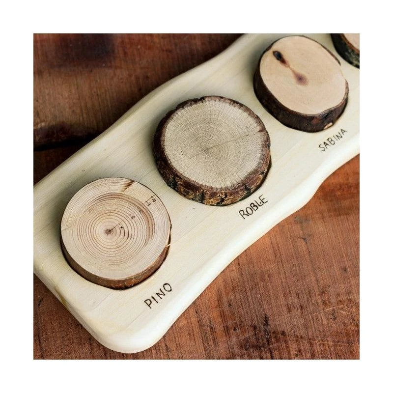 Cocoletes Truncus - English 4 Cocoletes Truncus - English - Image 2