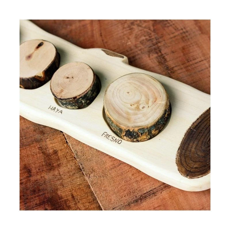 Cocoletes Truncus - English 5 Cocoletes Truncus - English - Image 3