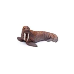 Collecta Mini Sea Animals Box - Hand-Painted Animal Figure 12 Collecta Mini Sea Animals Box - Hand-Painted Animal Figure -Little Dutch Store CollectA Mini Sea Animals Box Hand Painted Animal Figure Dolls Playsets Toy Figures 2