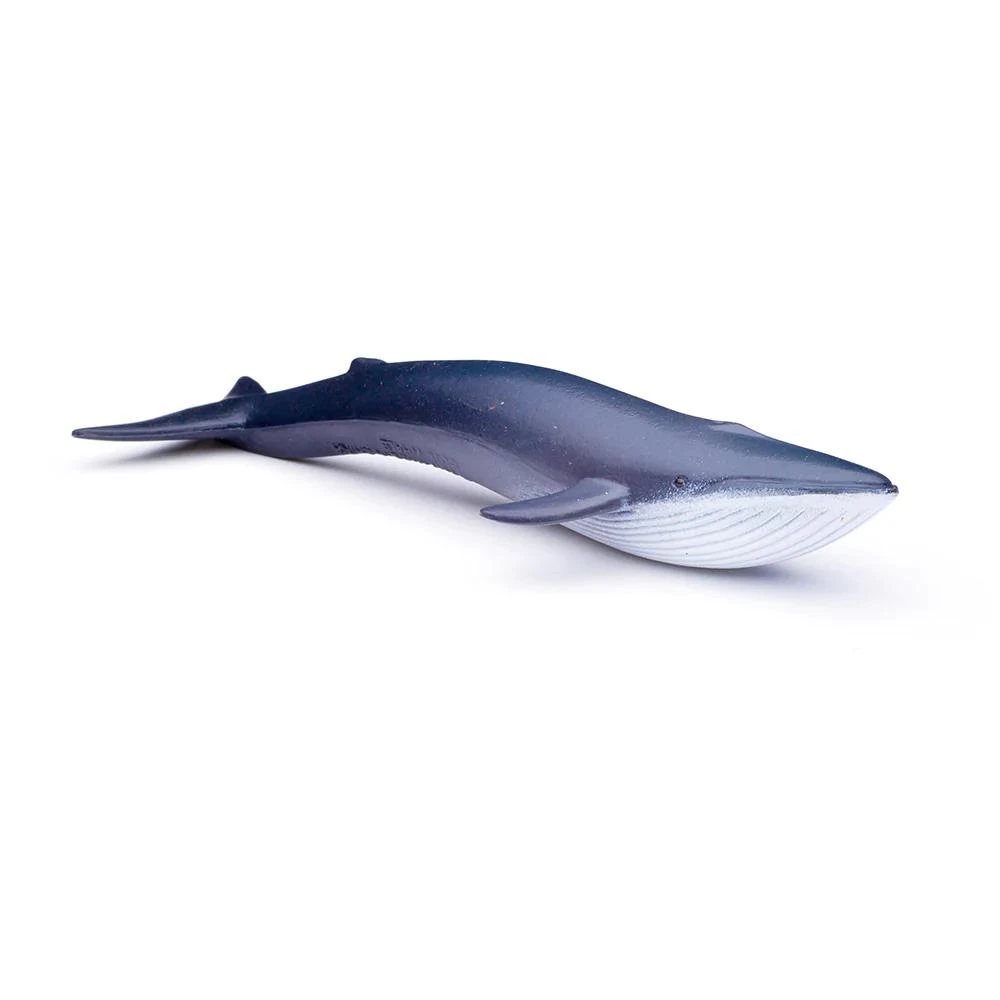 Collecta Mini Sea Animals Box - Hand-Painted Animal Figure 11 Collecta Mini Sea Animals Box - Hand-Painted Animal Figure - Image 9