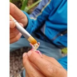 Bubble Pollinator Kit -Little Dutch Store Dr Zigs Bubble Pollinator Kit Bubble Blowing Toys 4