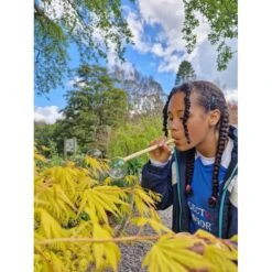 Bubble Pollinator Kit -Little Dutch Store Dr Zigs Bubble Pollinator Kit Bubble Blowing Toys 5