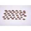 Eco Friendly Tactile Shells - Pack Of 36 2 Eco Friendly Tactile Shells - Pack Of 36 -Little Dutch Store EDX Education Eco Friendly Tactile Shells Pack of 36 Toys Games