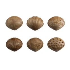 Eco Friendly Tactile Shells - Pack Of 36 -Little Dutch Store EDX Education Eco Friendly Tactile Shells Pack of 36 Toys Games 2