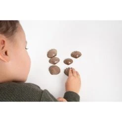 Eco Friendly Tactile Shells - Pack Of 36 -Little Dutch Store EDX Education Eco Friendly Tactile Shells Pack of 36 Toys Games 5