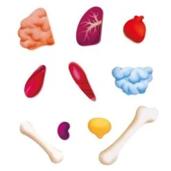 Hape Human Body Puzzle 10 Hape Human Body Puzzle -Little Dutch Store Hape Human Body Puzzle Puzzles 4