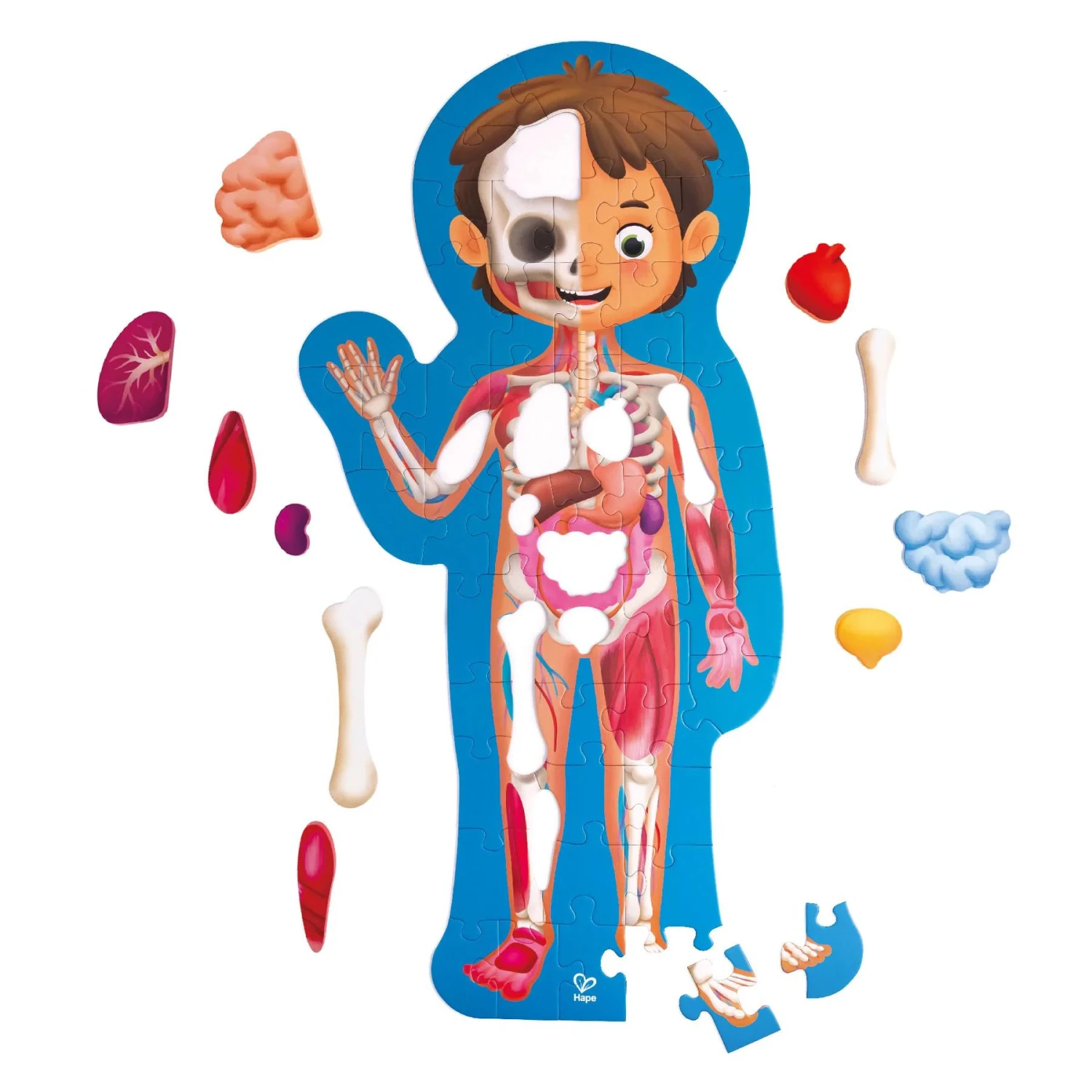 Hape Human Body Puzzle 3 Hape Human Body Puzzle