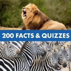 Learning Resources GeoSafari® Jr. Talking Wildlife Camera™ -Little Dutch Store Learning Resources GeoSafarir Jr Talking Wildlife Cameratm 10