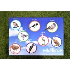 Outdoor Wild Birds Board (60 X 40cm)
