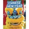 Chinese New Year (Traditions & Celebrations)- Sharon Katz Cooper -Little Dutch Store Raintree Chinese New Year Traditions Celebrations Sharon Katz Cooper Books