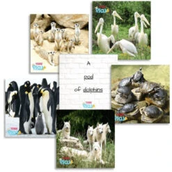 Teddo Play- Educational Learning Animal Groups (Collective Nouns) Names - Set Of 40 Learning Cards -Little Dutch Store Teddo Play Teddo Play Educational Learning Animal Groups Collective Nouns Names Set of 40 Learning Cards 3