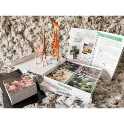 Teddo Play- Educational Learning Animal Groups (Collective Nouns) Names - Set Of 40 Learning Cards -Little Dutch Store Teddo Play Teddo Play Educational Learning Animal Groups Collective Nouns Names Set of 40 Learning Cards 4