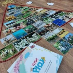 Teddo Play- Educational Learning Animal Groups (Collective Nouns) Names - Set Of 40 Learning Cards -Little Dutch Store Teddo Play Teddo Play Educational Learning Animal Groups Collective Nouns Names Set of 40 Learning Cards 5