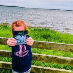 Teddo Play- Educational Learning Animal Groups (Collective Nouns) Names - Set Of 40 Learning Cards -Little Dutch Store Teddo Play Teddo Play Educational Learning Animal Groups Collective Nouns Names Set of 40 Learning Cards 6