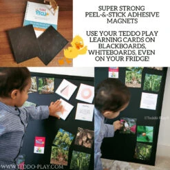 Teddo Play- Educational Learning Animal Groups (Collective Nouns) Names - Set Of 40 Learning Cards -Little Dutch Store Teddo Play Teddo Play Educational Learning Animal Groups Collective Nouns Names Set of 40 Learning Cards 8