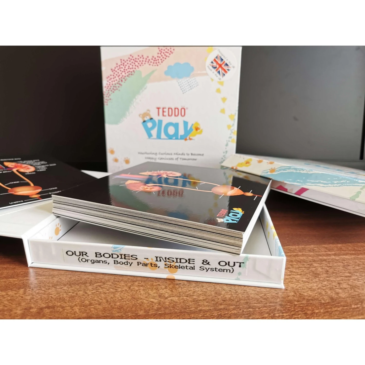 Teddo Play Our Bodies Inside And Out (Organs, Body Parts And Skeleton) - Set Of 40 Educational Learning Cards 7 Teddo Play Our Bodies Inside And Out (Organs, Body Parts And Skeleton) - Set Of 40 Educational Learning Cards - Image 5