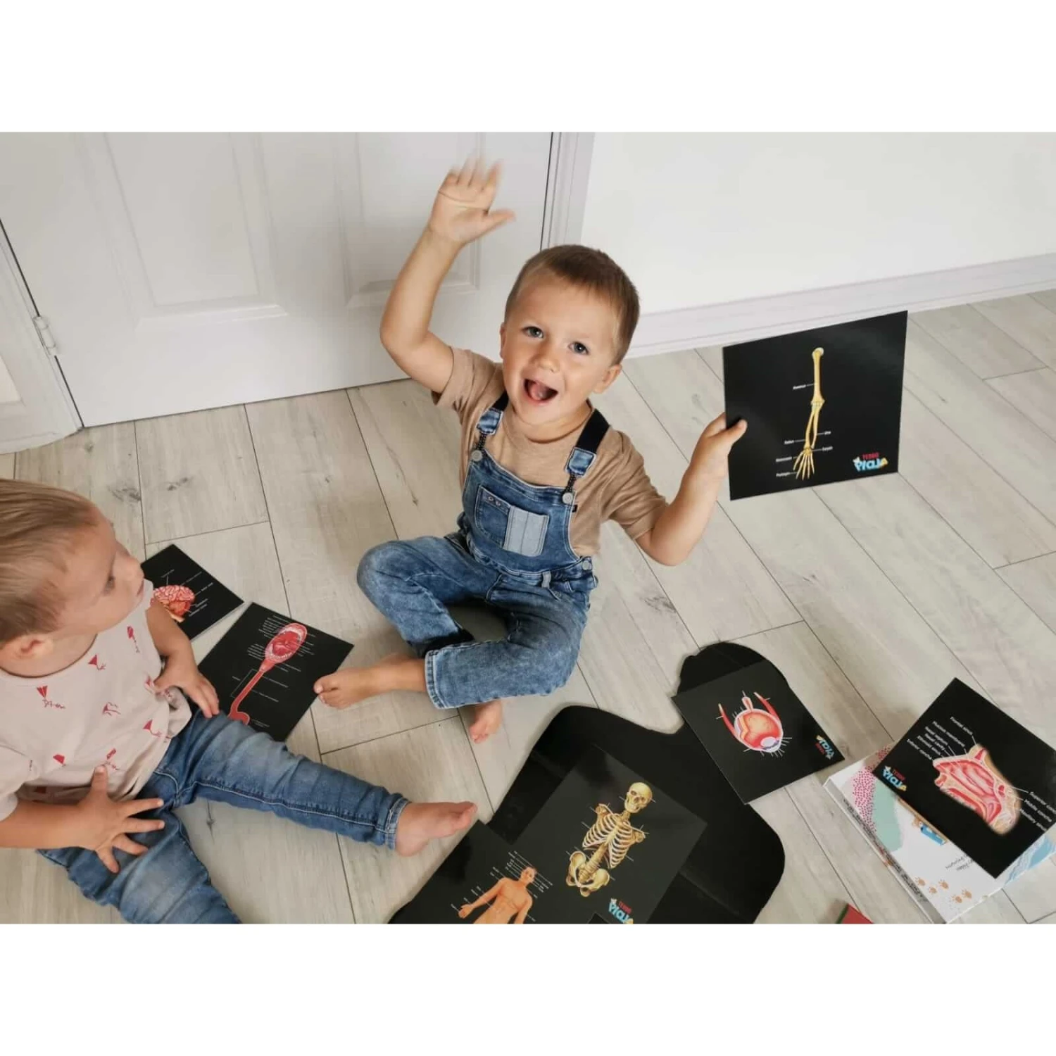 Teddo Play Our Bodies Inside And Out (Organs, Body Parts And Skeleton) - Set Of 40 Educational Learning Cards 8 Teddo Play Our Bodies Inside And Out (Organs, Body Parts And Skeleton) - Set Of 40 Educational Learning Cards - Image 6