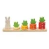 Counting Carrots -Little Dutch Store Tenderleaf Toys Counting Carrots Counting Toy
