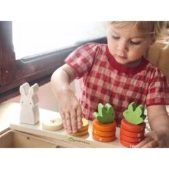 Counting Carrots -Little Dutch Store Tenderleaf Toys Counting Carrots Counting Toy 2