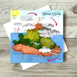 Water Cycle & Carbon Cycle Portable Educational Poster Boards (Large: 30x30cm) Free Wooden Tripod Display Stand 12 Water Cycle & Carbon Cycle Portable Educational Poster Boards (Large: 30x30cm) Free Wooden Tripod Display Stand -Little Dutch Store Water Cycle Carbon Cycle Portable Educational Poster Boards Large 30x30cm Free Wooden Tripod Display Stand 2
