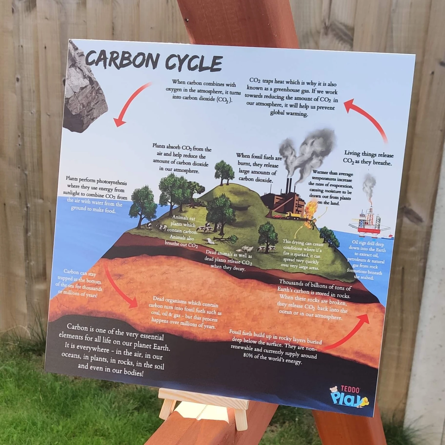 Water Cycle & Carbon Cycle Portable Educational Poster Boards (Large: 30x30cm) Free Wooden Tripod Display Stand 7 Water Cycle & Carbon Cycle Portable Educational Poster Boards (Large: 30x30cm) Free Wooden Tripod Display Stand - Image 5