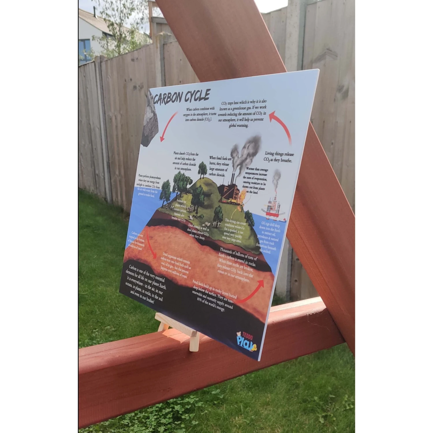 Water Cycle & Carbon Cycle Portable Educational Poster Boards (Large: 30x30cm) Free Wooden Tripod Display Stand 9 Water Cycle & Carbon Cycle Portable Educational Poster Boards (Large: 30x30cm) Free Wooden Tripod Display Stand - Image 7