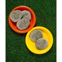 Let's Investigate - Woodland Footprints -Little Dutch Store Yellow Door Lets Investigate Woodland Footprints 3